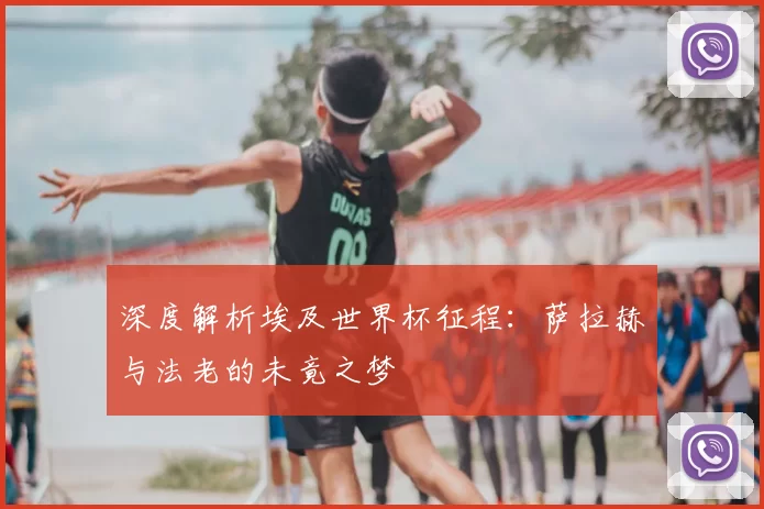 深度解析埃及世界杯征程:萨拉赫与法老的未竟之梦