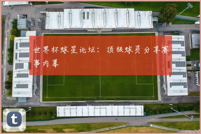 世界杯球星论坛：顶级球员分享赛事内幕