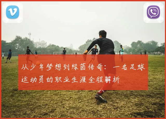 从少年梦想到绿茵传奇：一名足球运动员的职业生涯全程解析