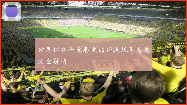 世界杯公平竞赛奖的评选规则与意义全解析