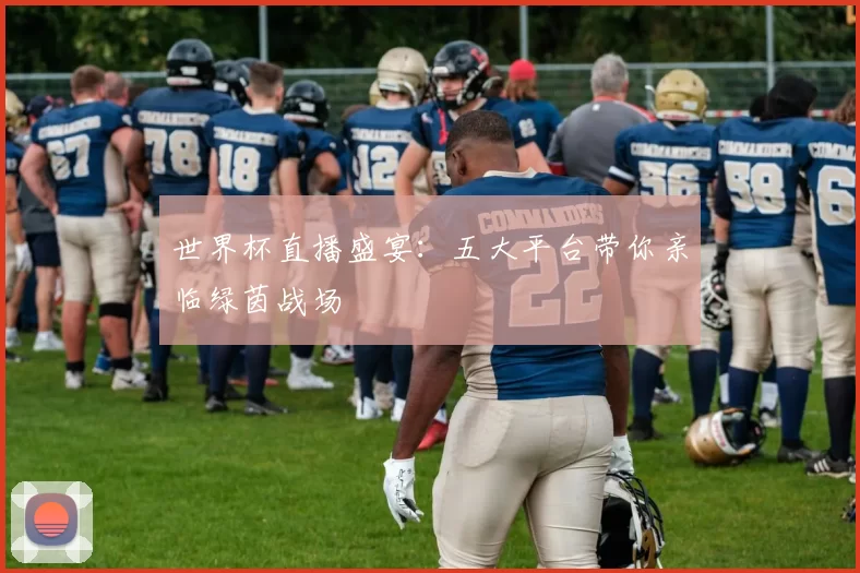 世界杯直播盛宴:五大平台带你亲临绿茵战场