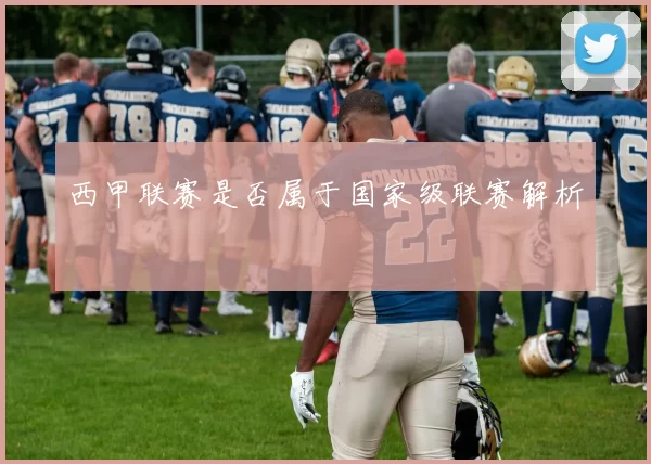 西甲联赛是否属于国家级联赛解析