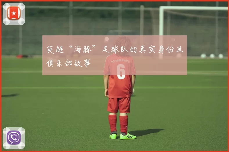 英超“海豚”足球队的真实身份及俱乐部故事