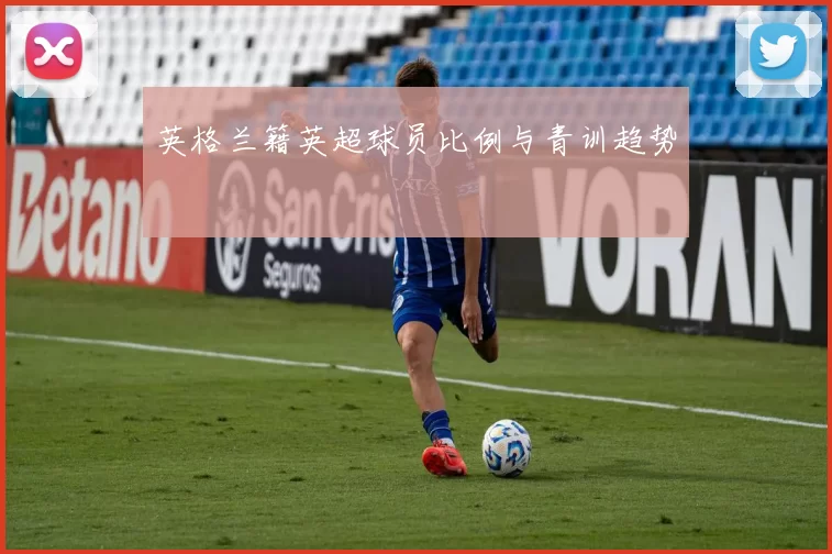 英格兰籍英超球员比例与青训趋势