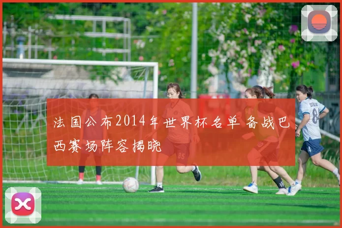 法国公布2014年世界杯名单 备战巴西赛场阵容揭晓