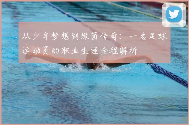 从少年梦想到绿茵传奇：一名足球运动员的职业生涯全程解析
