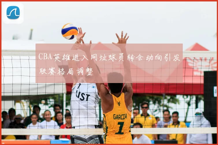 CBA英雄进入网址球员转会动向引发联赛格局调整