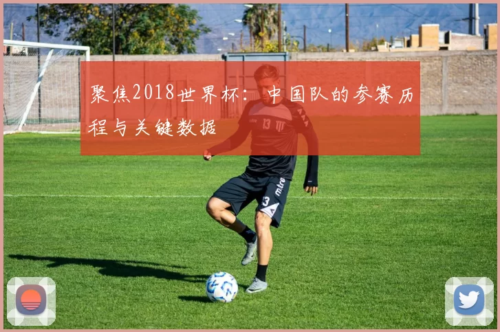 聚焦2018世界杯：中国队的参赛历程与关键数据