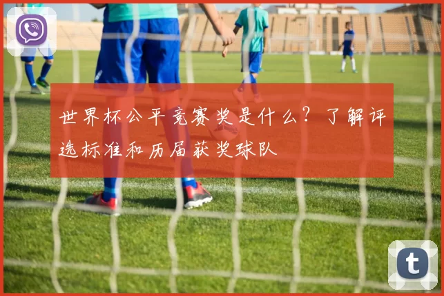 世界杯公平竞赛奖是什么?了解评选标准和历届获奖球队