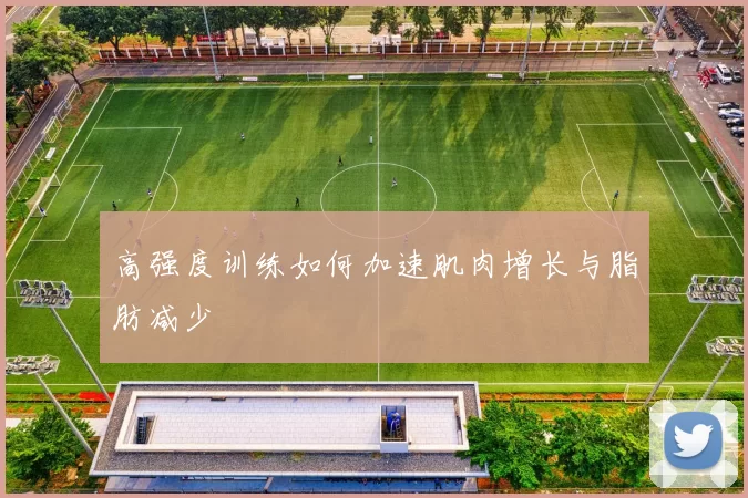 高强度训练如何加速肌肉增长与脂肪减少