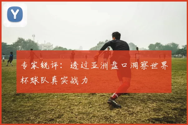 专家锐评：透过亚洲盘口洞察世界杯球队真实战力