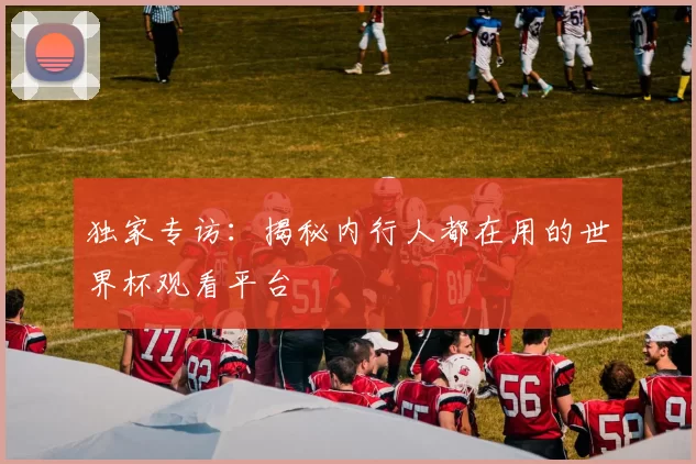 独家专访:揭秘内行人都在用的世界杯观看平台