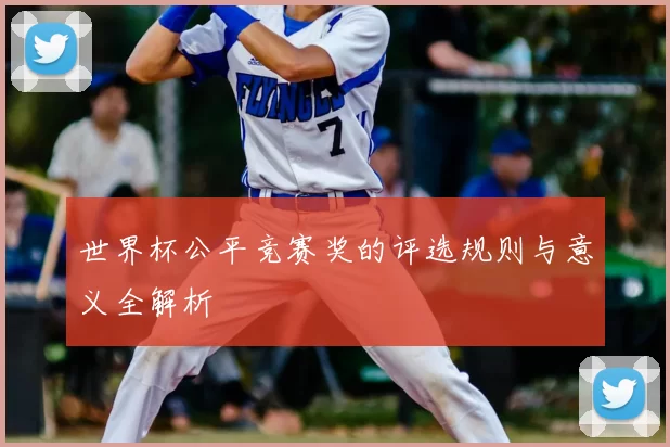 世界杯公平竞赛奖的评选规则与意义全解析