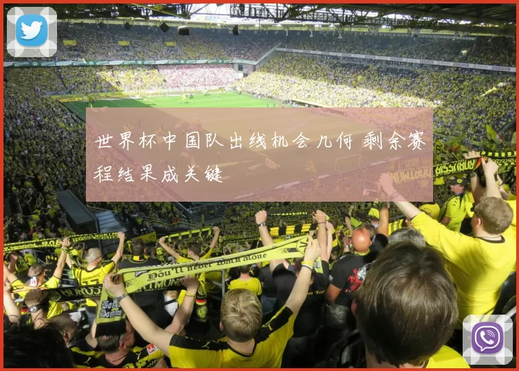 世界杯中国队出线机会几何 剩余赛程结果成关键