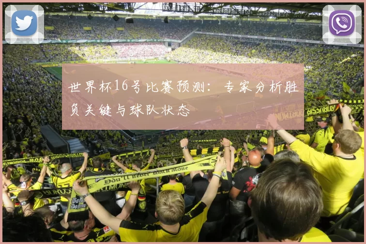 世界杯16号比赛预测：专家分析胜负关键与球队状态